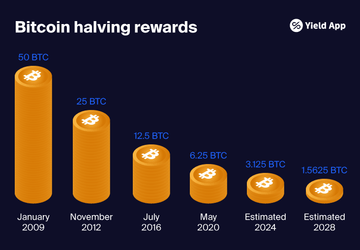 The Bitcoin Halving