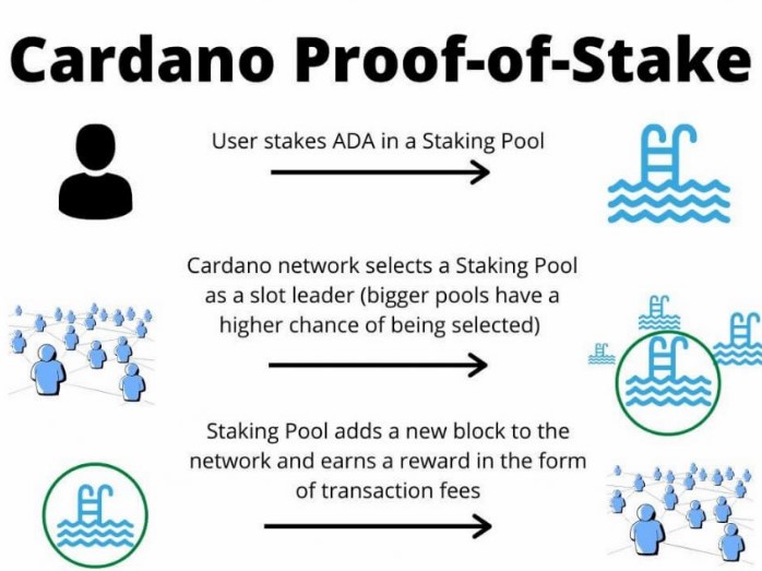The exceptionality of Cardano