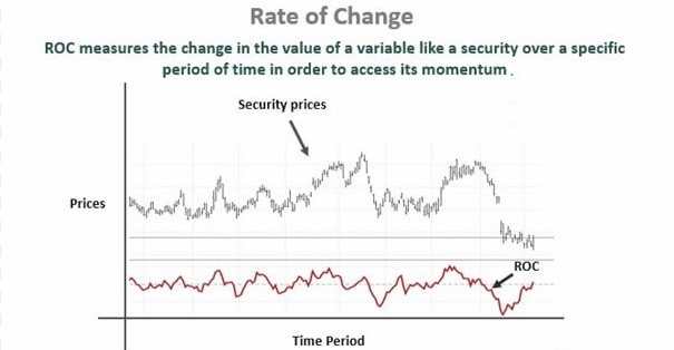 Calculating the stock’s average rate of change