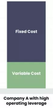 degrees of operating leverage